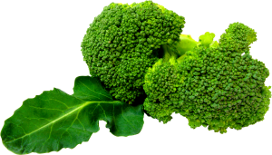 Green Broccoli PNG image-2828